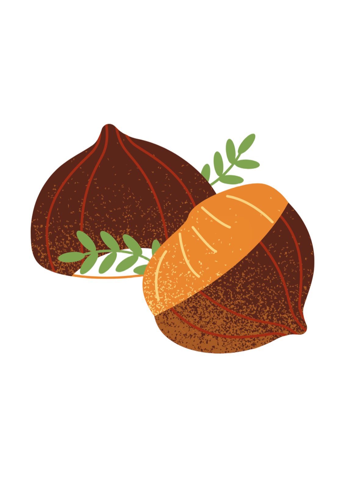 Sycamore